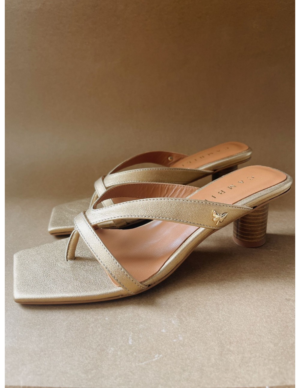 Sandy Ochre 2