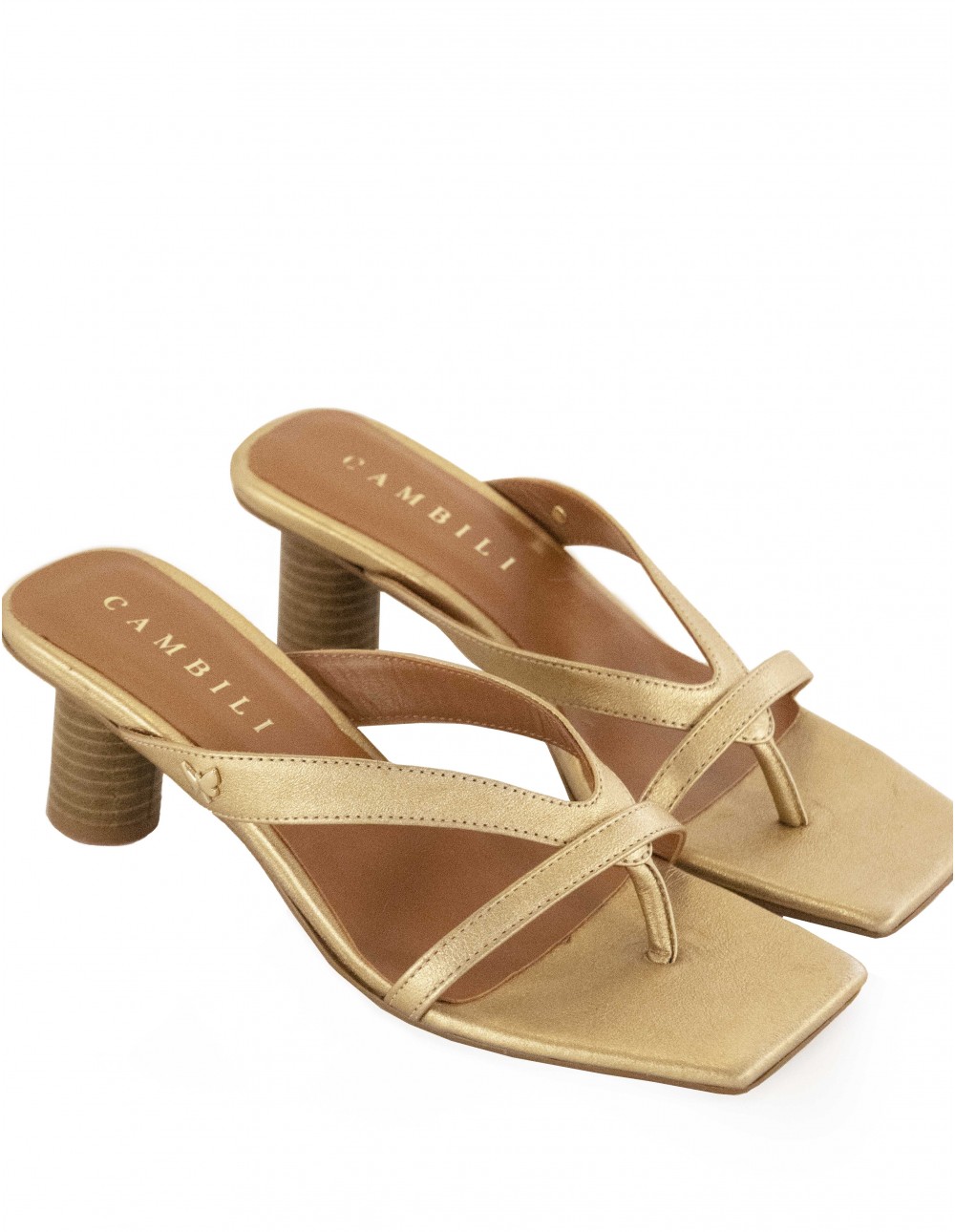 Sandy Ochre 2